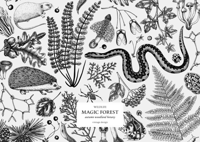 Vintage banner with woodland animals, ferns, mushrooms, fall leaves and autumn plant sketch. Botanical design template in engraved style. Hand drawn autumn forest background. Vector illustration